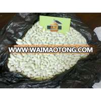 Egyptian white kidney beans