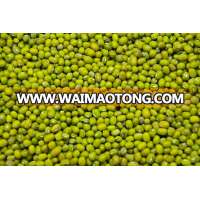 Green Mung Beans